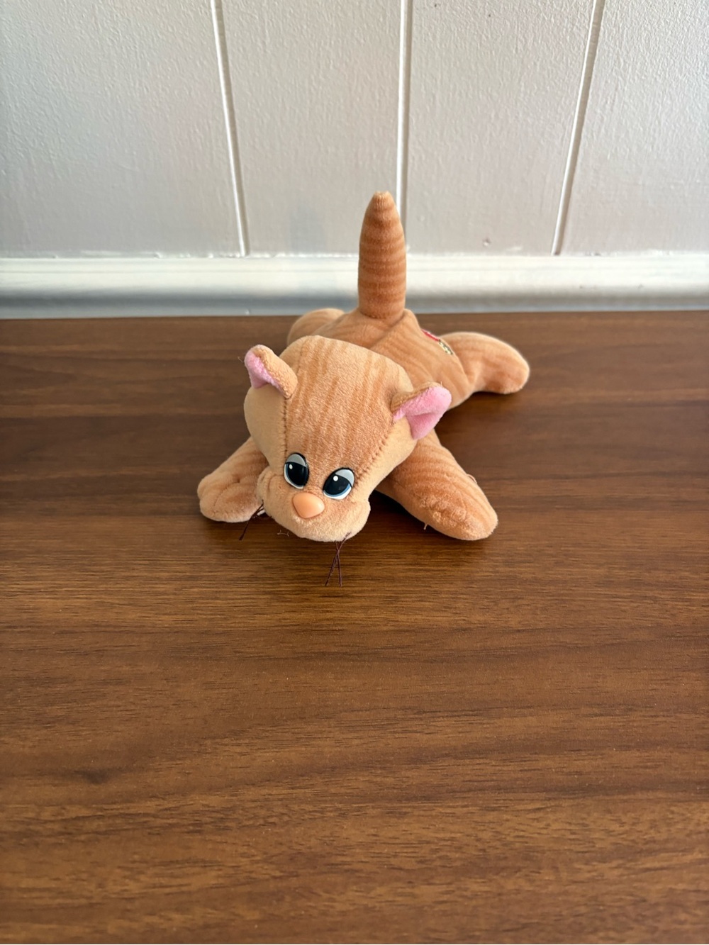 Tonka Orange Plush pound purries tabby